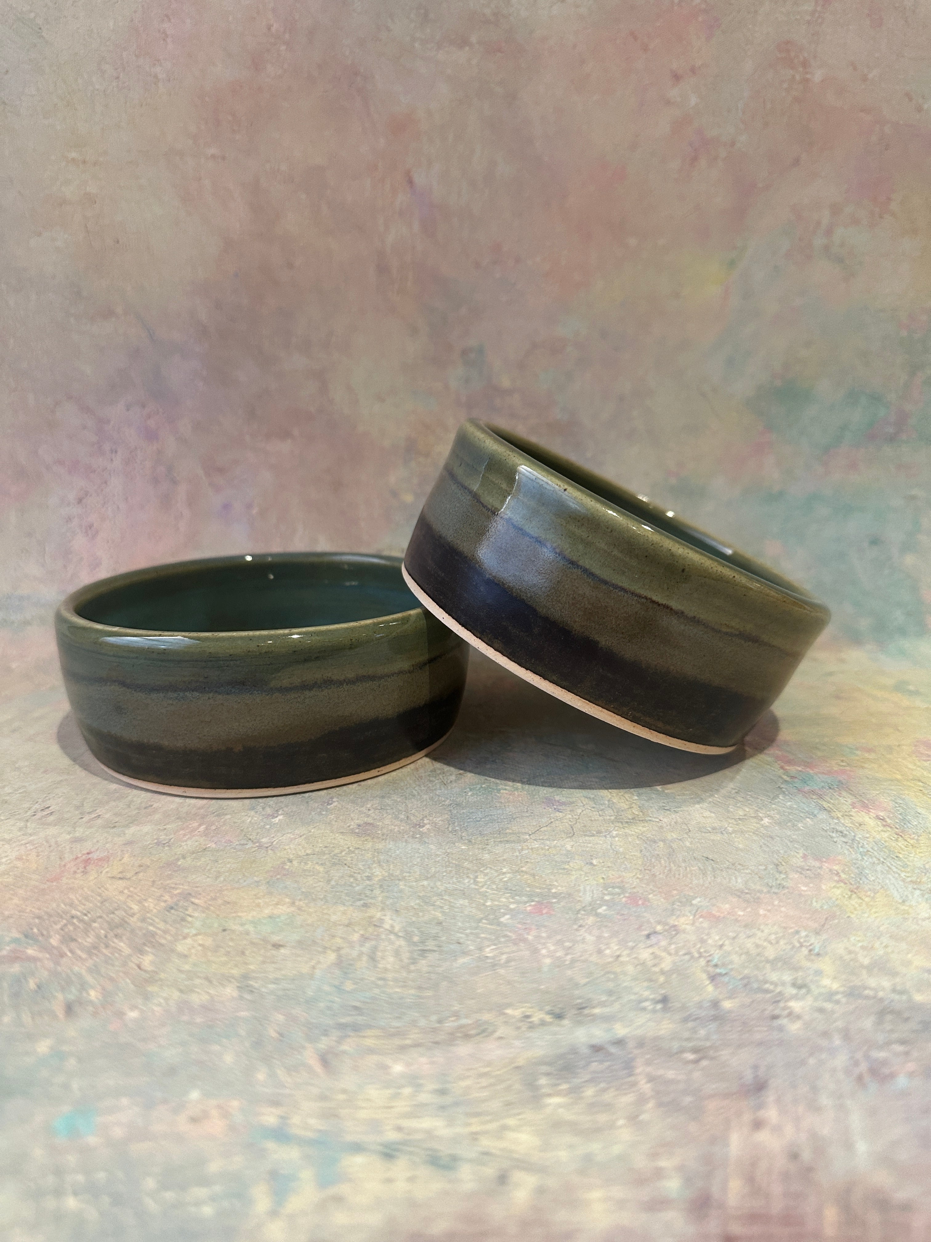 Set of 2 Small Pet Bowls