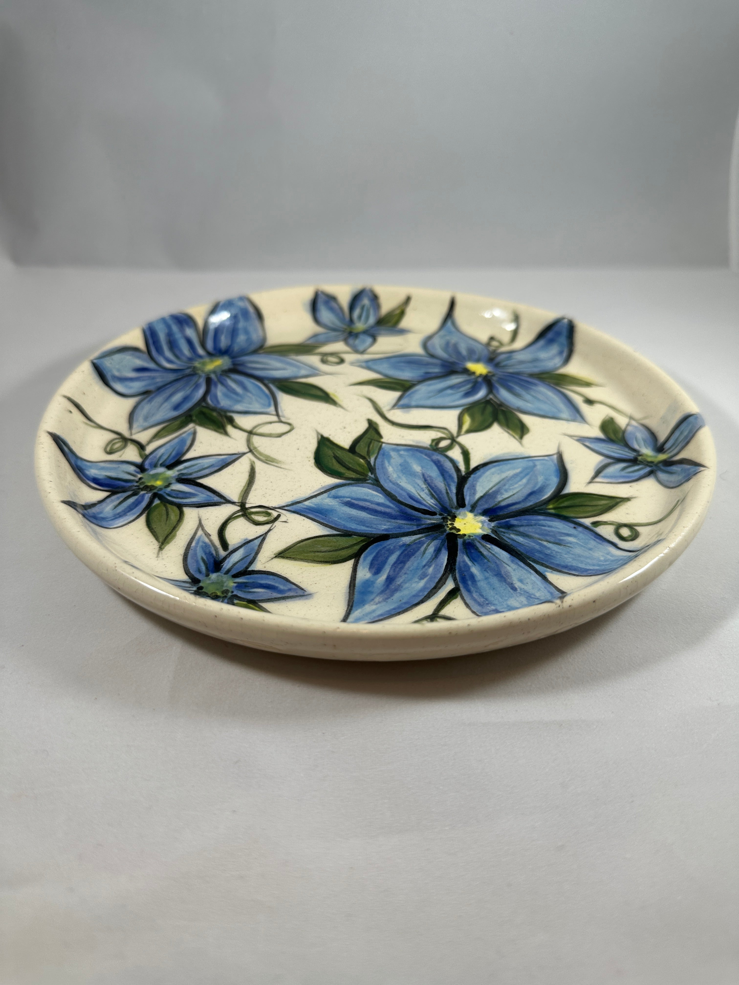 Wheel thrown handpainted one of a kind plate